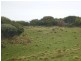 0 Badger Box, Currie TAS 7256