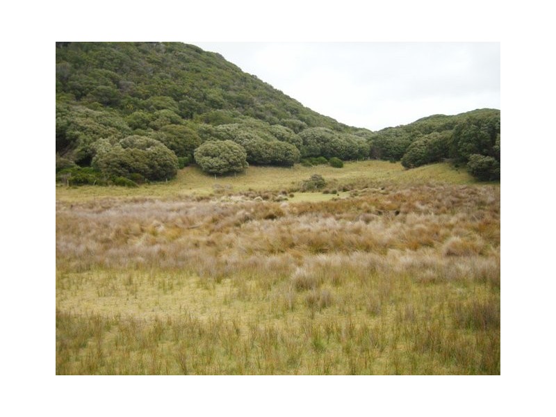 4 Yambacoona Road, Yambacoona TAS 7256
