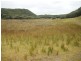 4 Yambacoona Road, Yambacoona TAS 7256