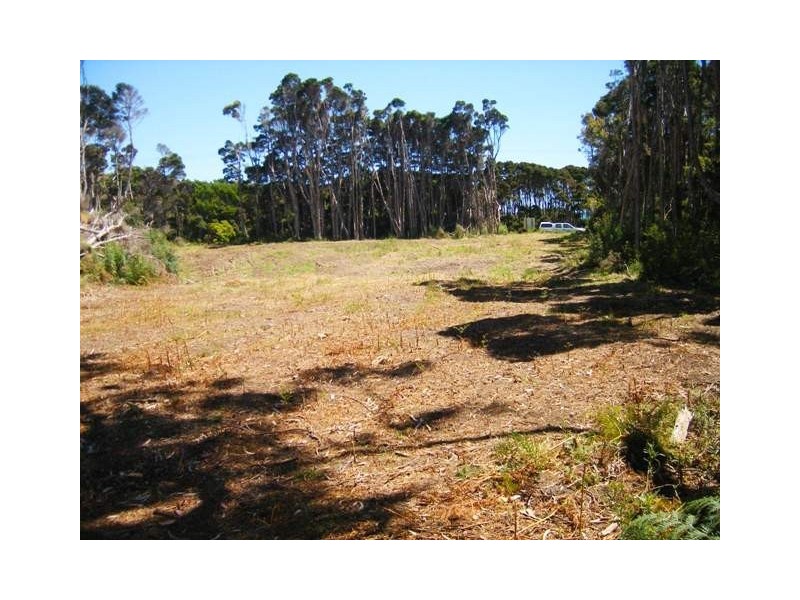 2200 Fraser Road, Naracoopa TAS 7256
