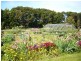 39 Millwood Road, Lymwood TAS 7256