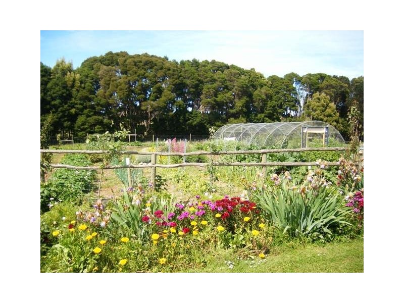 39 Millwood Road, Lymwood TAS 7256