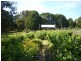 39 Millwood Road, Lymwood TAS 7256