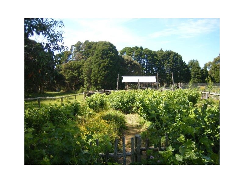 39 Millwood Road, Lymwood TAS 7256