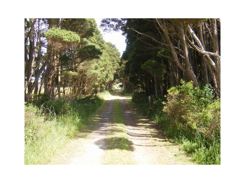 39 Millwood Road, Lymwood TAS 7256