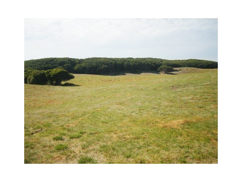 392 South Road, Pearshape TAS 7256
