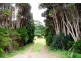 0 Forrest Street, Naracoopa TAS 7256