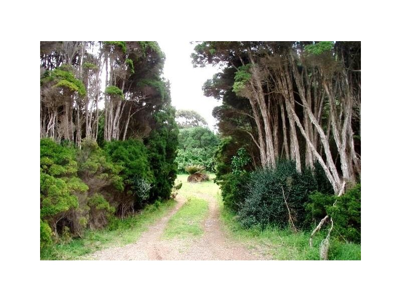 0 Forrest Street, Naracoopa TAS 7256