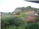 710 Ridges Road, Sea Elephant TAS 7256
