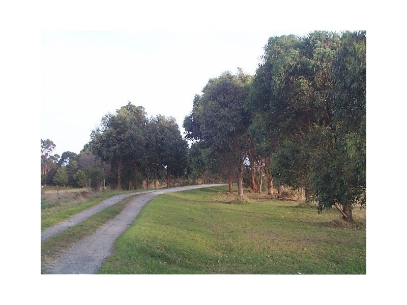 710 Ridges Road, Sea Elephant TAS 7256