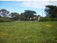 29 Snodgrass, Loorana TAS 7256