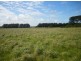 29 Snodgrass, Loorana TAS 7256