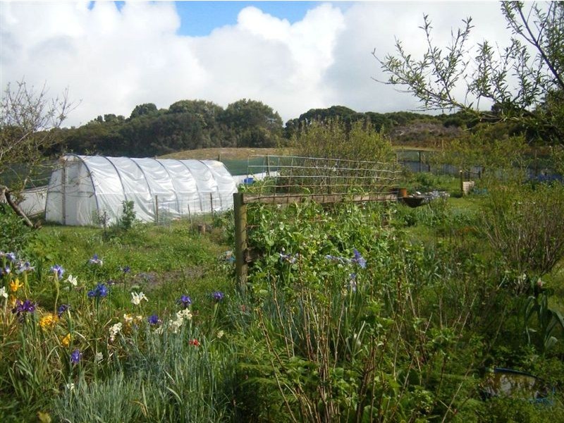 292 Red Hut Road, Lymwood TAS 7256