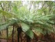 735 Pegarah Road, Pegarah TAS 7256