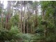 735 Pegarah Road, Pegarah TAS 7256