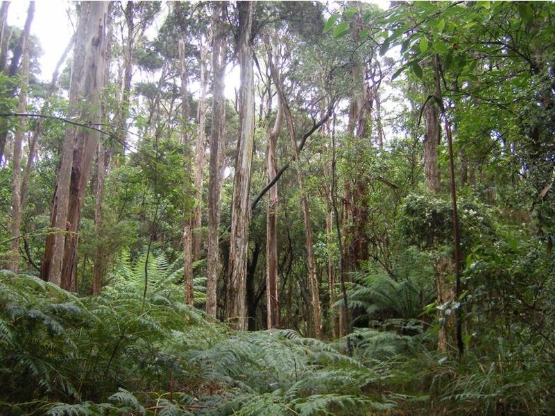 735 Pegarah Road, Pegarah TAS 7256