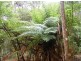 735 Pegarah Road, Pegarah TAS 7256