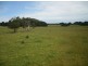 190 Yarra Creek Road, Lymwood TAS 7256