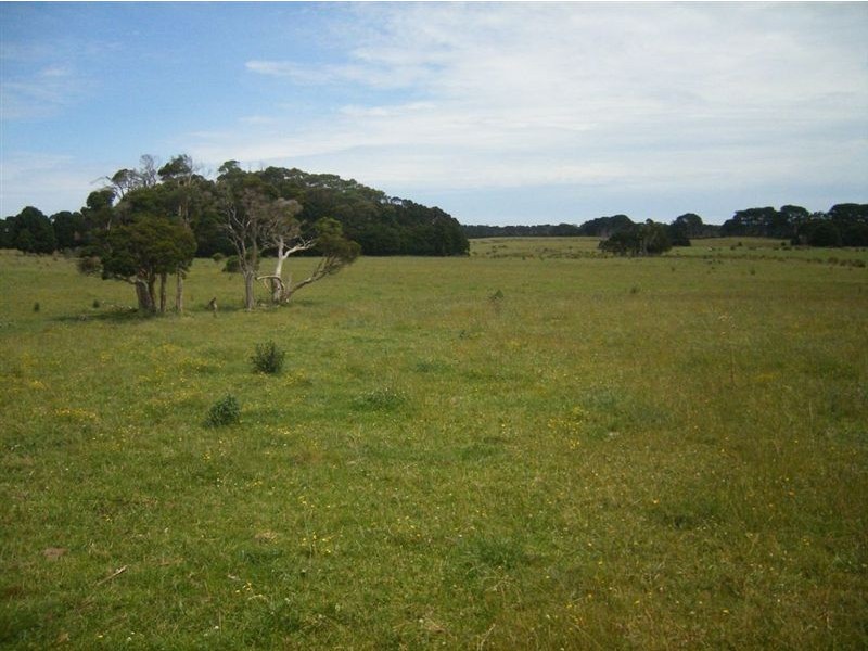 190 Yarra Creek Road, Lymwood TAS 7256