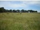 190 Yarra Creek Road, Lymwood TAS 7256