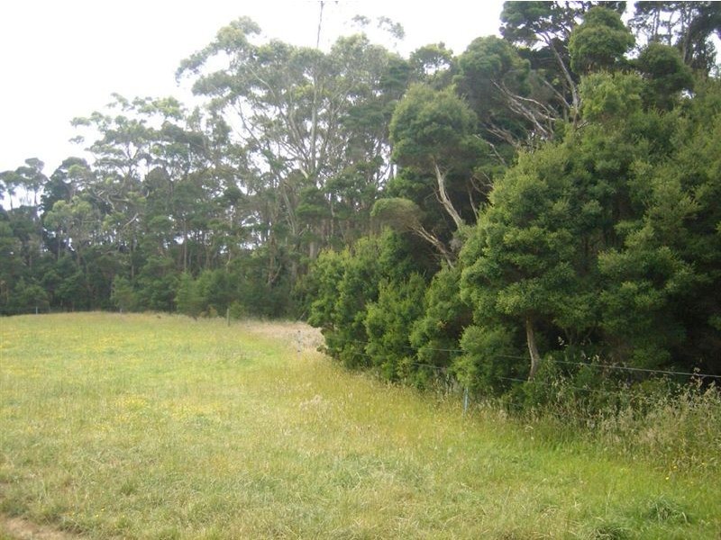 190 Yarra Creek Road, Lymwood TAS 7256