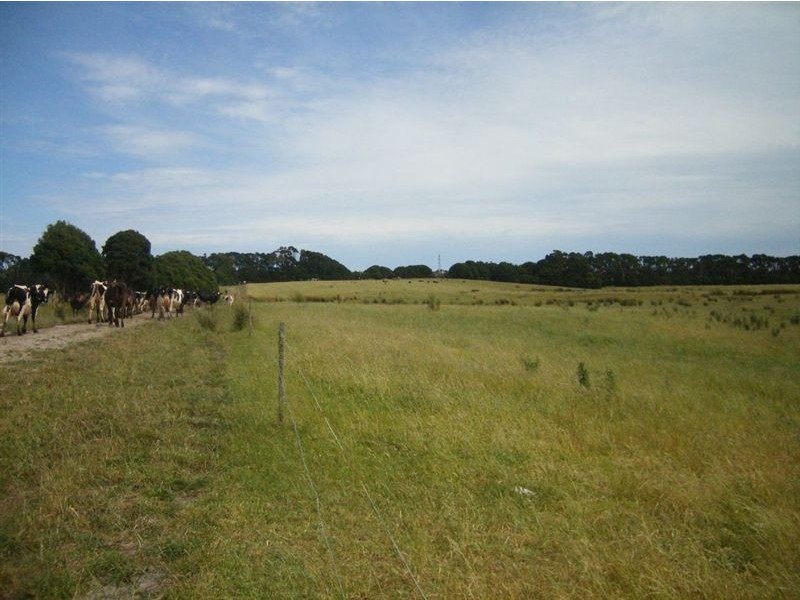 190 Yarra Creek Road, Lymwood TAS 7256