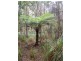 735 Pegarah Road, Pegarah TAS 7256