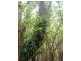 735 Pegarah Road, Pegarah TAS 7256