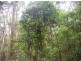 735 Pegarah Road, Pegarah TAS 7256