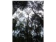 735 Pegarah Road, Pegarah TAS 7256