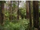 735 Pegarah Road, Pegarah TAS 7256