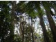 735 Pegarah Road, Pegarah TAS 7256