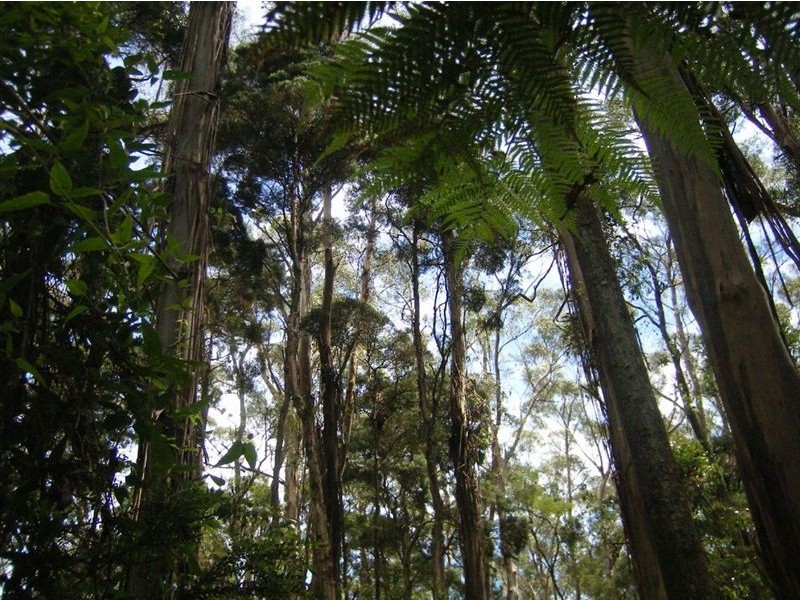 735 Pegarah Road, Pegarah TAS 7256