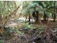 735 Pegarah Road, Pegarah TAS 7256