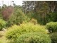 2233 Grassy Road, Lymwood TAS 7256