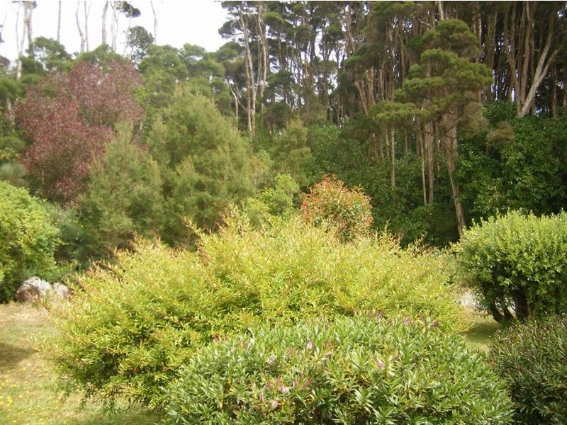 2233 Grassy Road, Lymwood TAS 7256