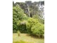 2233 Grassy Road, Lymwood TAS 7256
