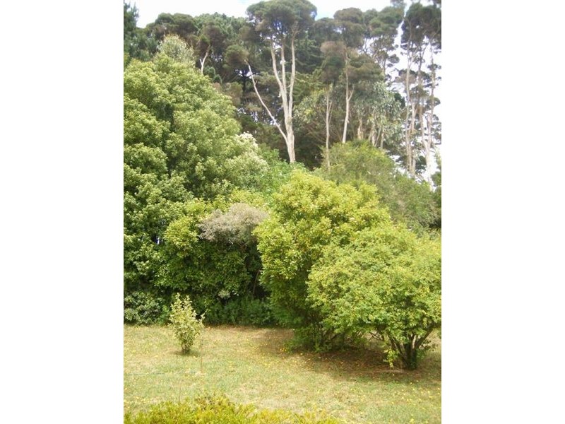 2233 Grassy Road, Lymwood TAS 7256
