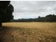 2200 Grassy Road, Lymwood TAS 7256