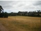 2200 Grassy Road, Lymwood TAS 7256