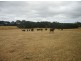 2200 Grassy Road, Lymwood TAS 7256