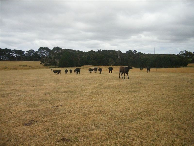2200 Grassy Road, Lymwood TAS 7256
