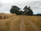 2200 Grassy Road, Lymwood TAS 7256