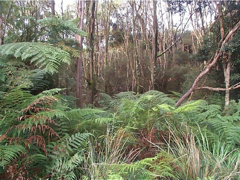 0 rankins road, Naracoopa TAS 7256