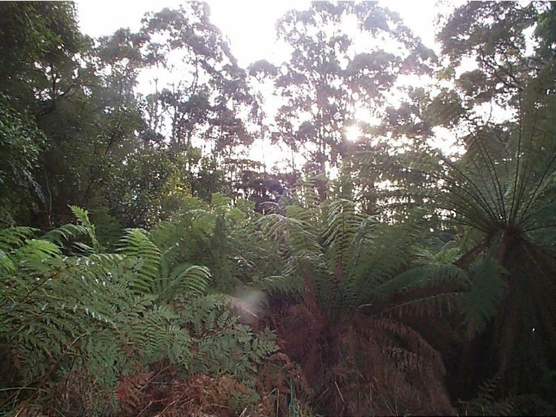 0 rankins road, Naracoopa TAS 7256