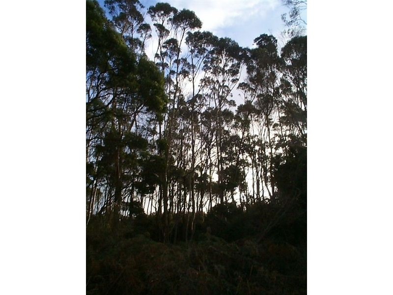 0 rankins road, Naracoopa TAS 7256