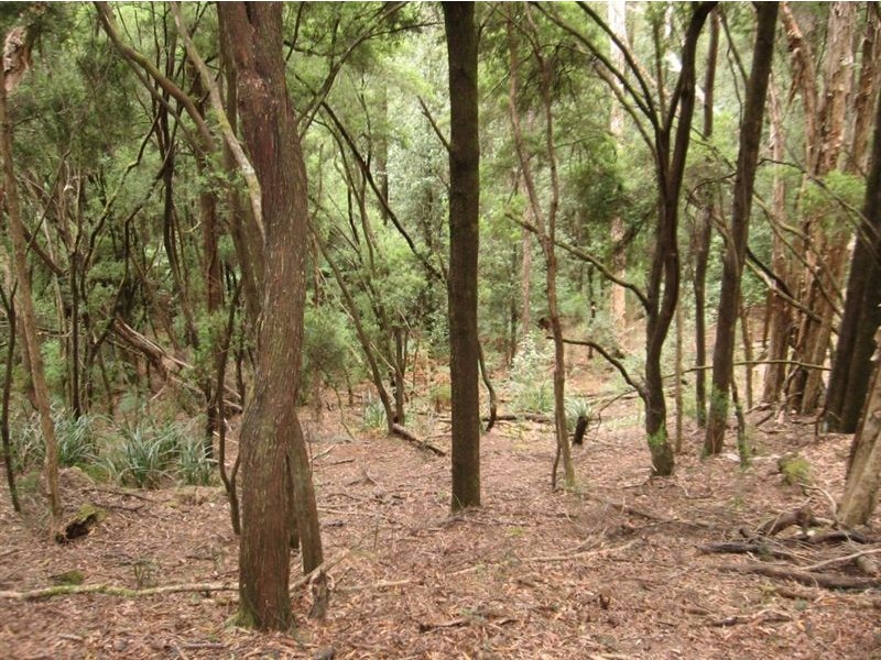 1000 Pegarah Road, Naracoopa TAS 7256