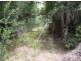 1000 Pegarah Road, Naracoopa TAS 7256
