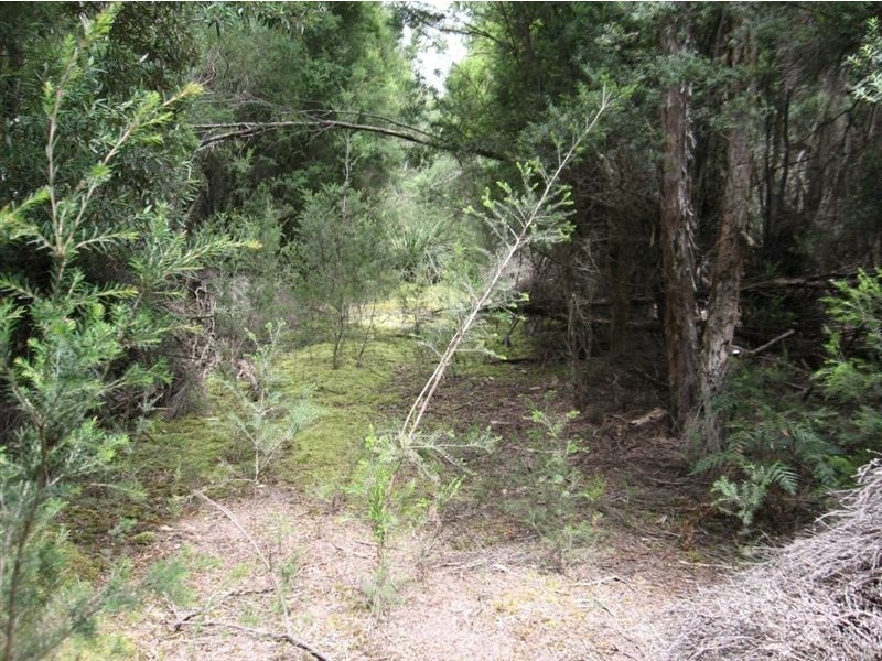 1000 Pegarah Road, Naracoopa TAS 7256