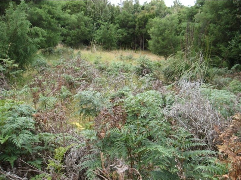 1000 Pegarah Road, Naracoopa TAS 7256